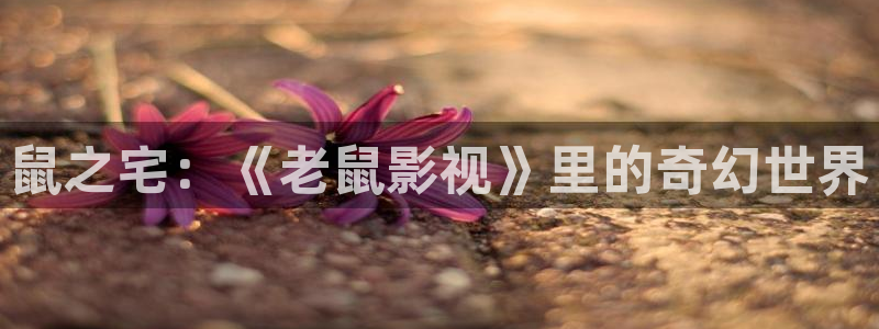 女儿的小蜜桃：鼠之宅：《老鼠影视》里的奇幻世界