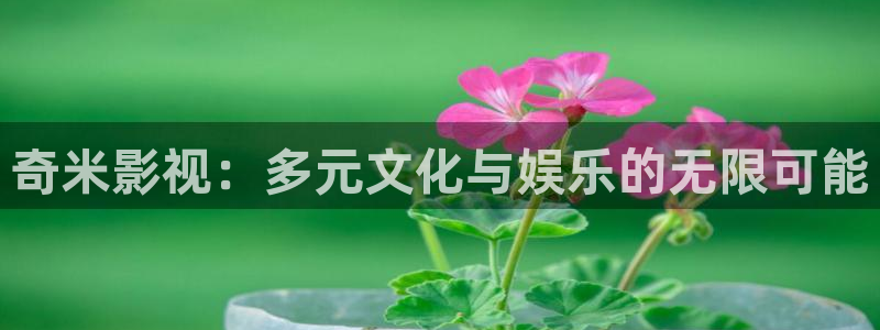 深夜做爰性大片蜜桃：奇米影视：多元文化与娱乐的无限可能