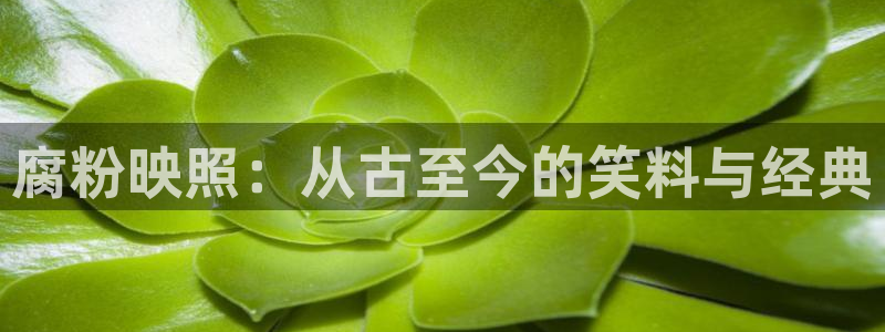 99蜜桃在线免费观看：腐粉映照：从古至今的笑料与经典
