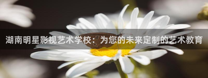 蜜桃影视免费在线观看：湖南明星影视艺术学校：为您的未来定制的艺术教育