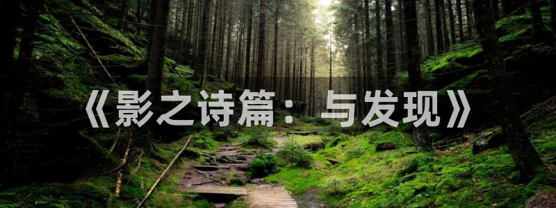 美丽小蜜桃2电影中文字幕：《影之诗篇：与发现》