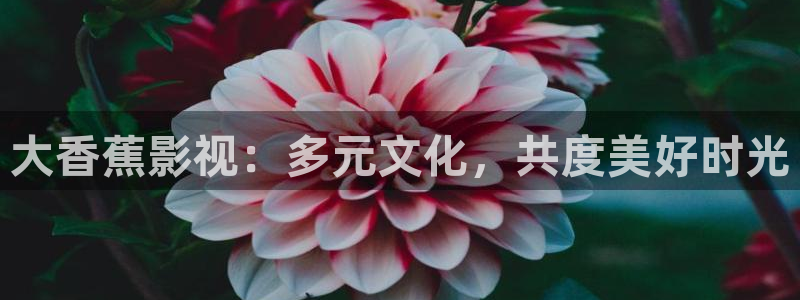 蜜桃片：大香蕉影视：多元文化，共度美好时光